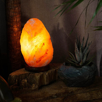 Pink Salt Lamp